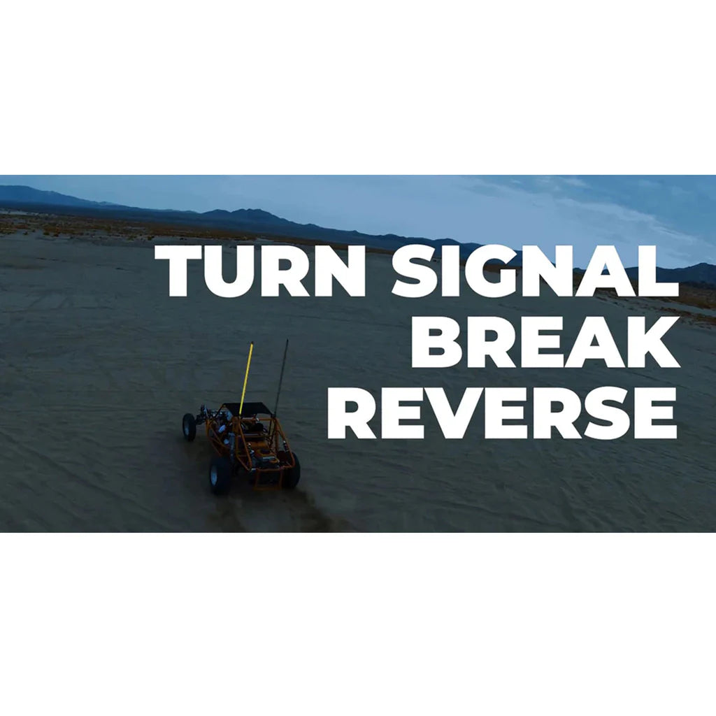 Whip 2' (Pair) + Controller