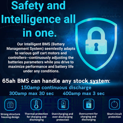 Lithium Rhino 36v 65ah Bundle