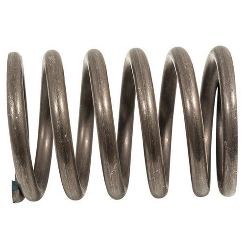 Valve Spring, Cc Ex40 2015-Up