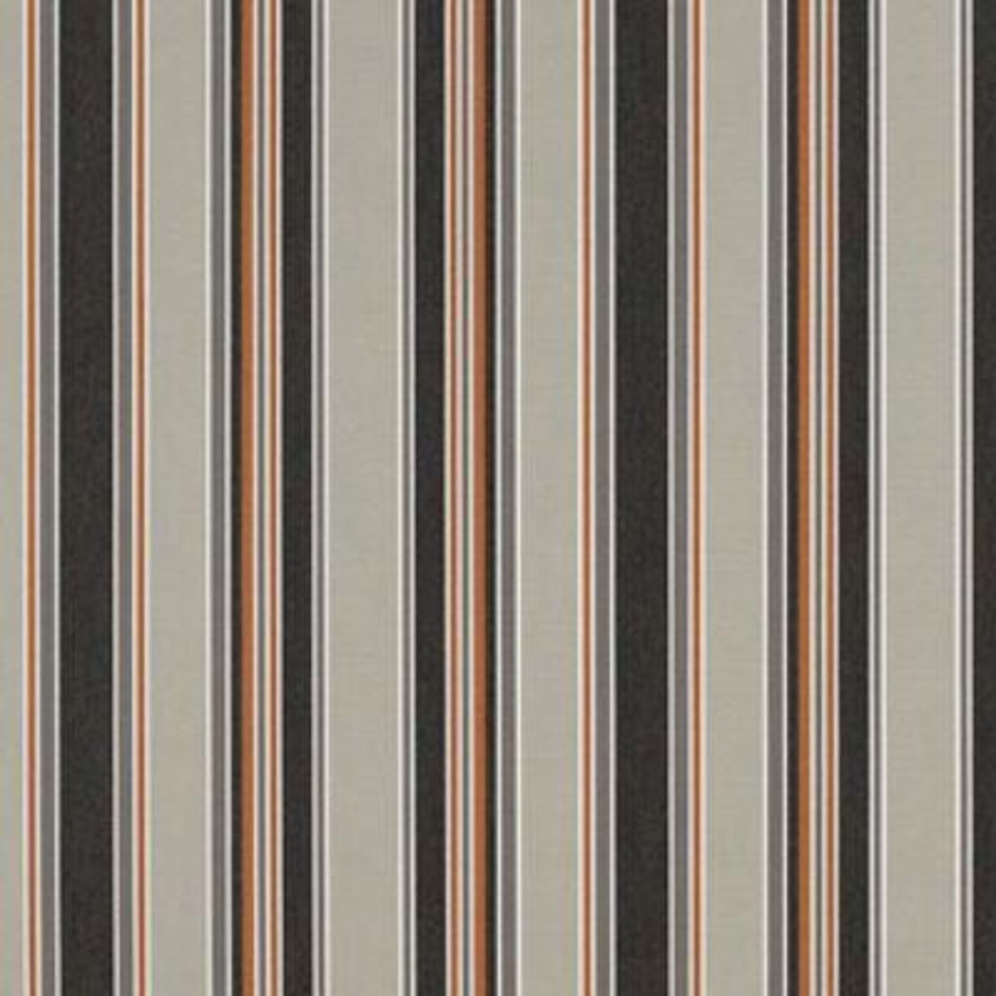 Cham CP 36" Val 4758 Cavalier Raven (All CC, Ya G14-G2