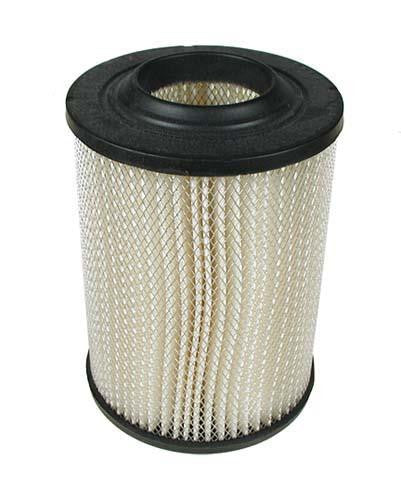 Air Filter For Cc Gas  84-91 (Oem)