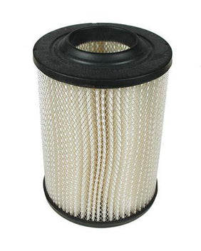 Air Filter For Cc Gas  84-91 (Oem)