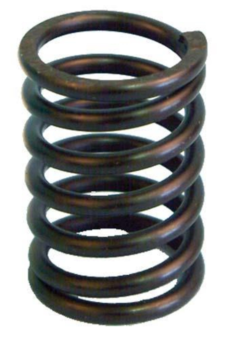 Valve Spring Fe290 1992-05