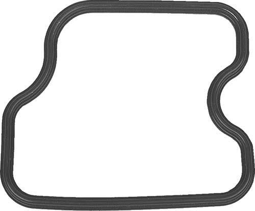 Rocker Case Gasket (Fe-290)