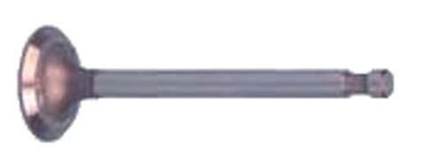 Intake Valve-Cc 92up Fe290