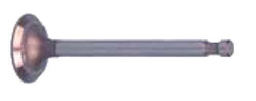 Exhaust Valve-Cc 92-Fe290