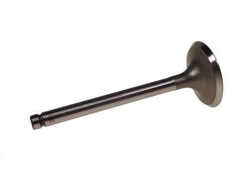 Intake Valve- Ezgo RXV