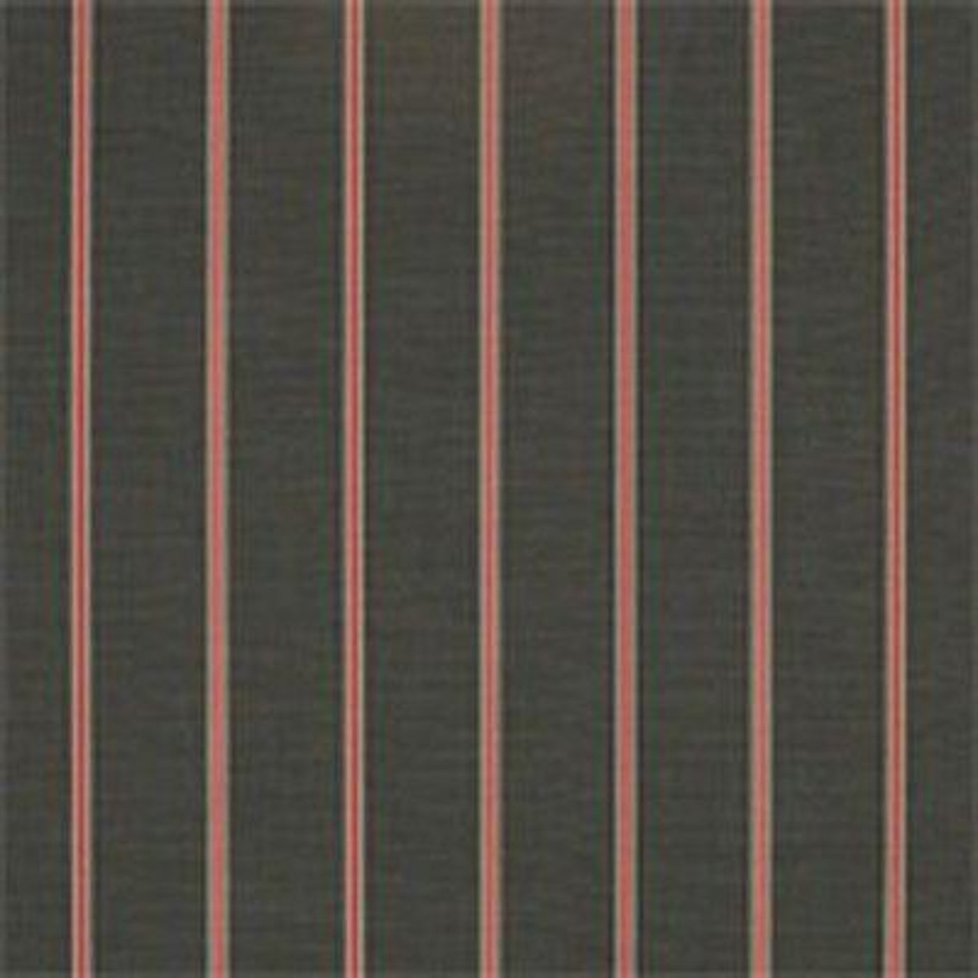 Rg Val 34-1/3" 4855 Colonnade Fossil