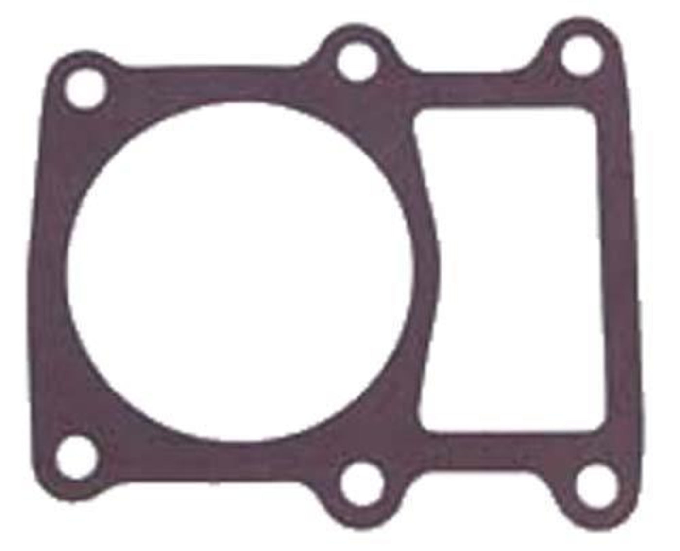 Gasket-Cylinder Cc