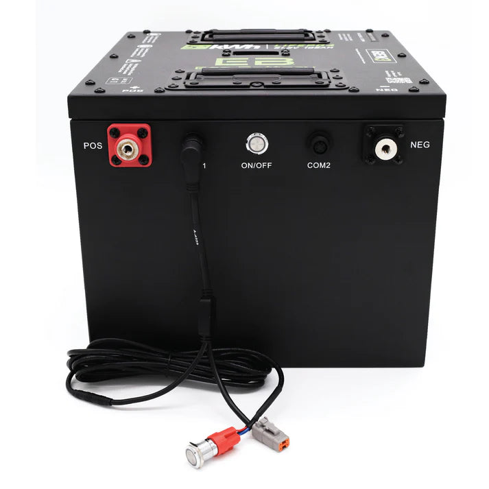 Remote Button Battery Wake Up Kit