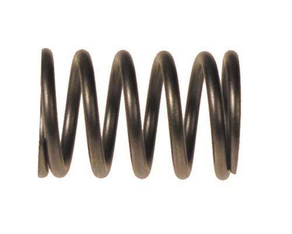 Valve Spring-Ezgo RXV