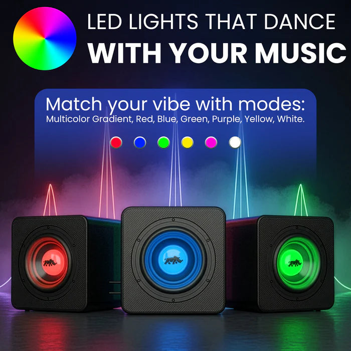 Lithium Rhino LED 8" Subwoofer with Aux Cable