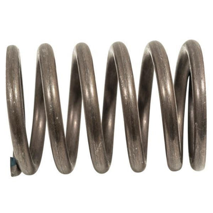 Valve Spring, Club Car Ex40 2015-Up