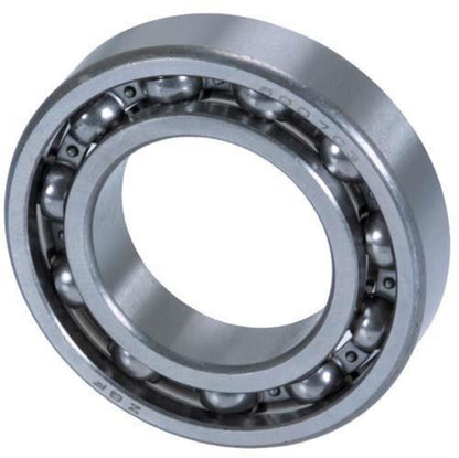 Ball Bearing 6007