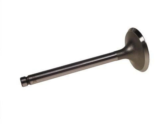 Intake Valve- EZGO RXV